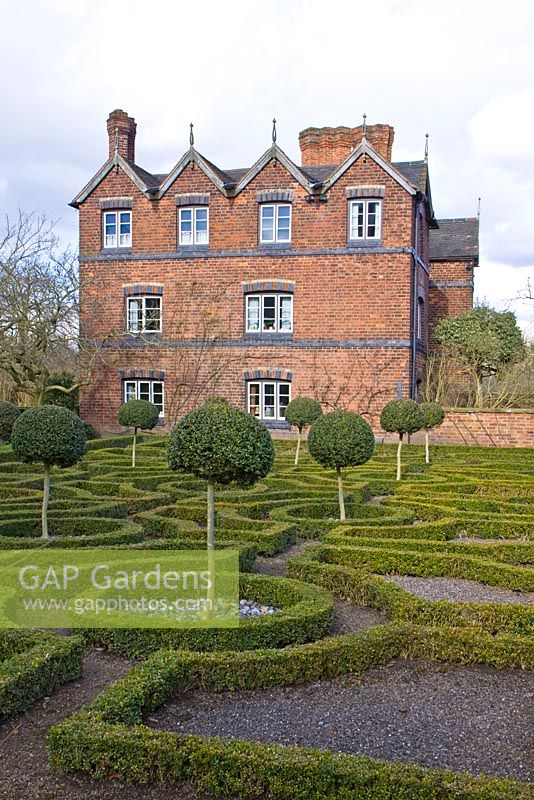 Box hedge planted in maze and standards - Moseley Old Hall, Staffordsshire 