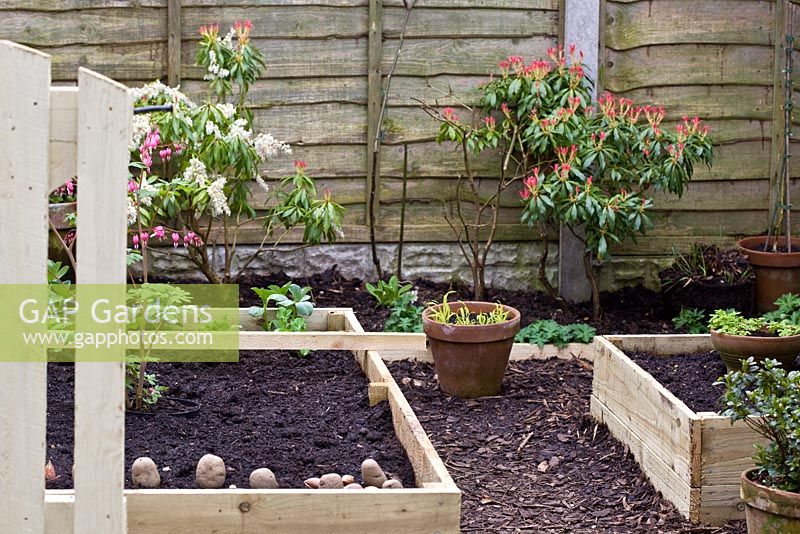 Raised beds made from treated timber for planting vegetables