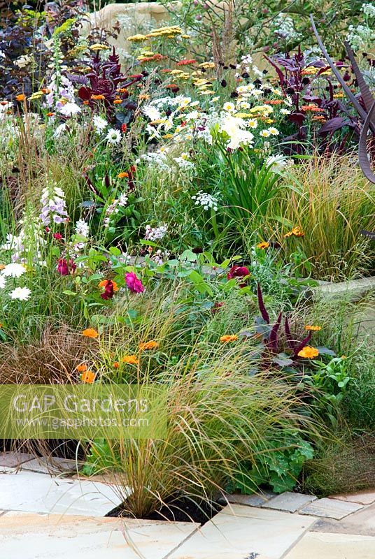 Mixed perennial planting - Branching Out with Copella, The Apple Juice Garden, RHS Hampton Court Flower Show 2008