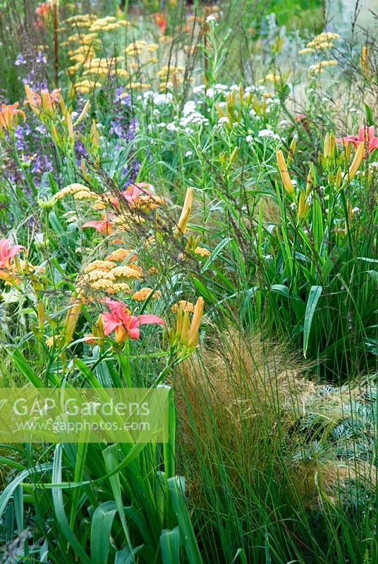 Hemerocallis, Achillea 'Terracotta' and Stipa tenuissima - The Traveller's Garden with Bradstone, RHS Hampton Court Flower Show 2008
