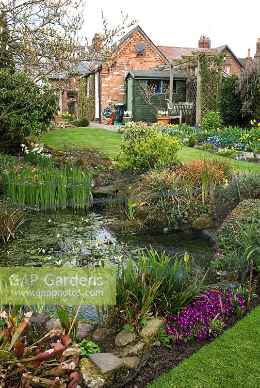 Garden pond with spring borders, shed and seating area - Parm Place, NGS garden, Great Budworth, Cheshire