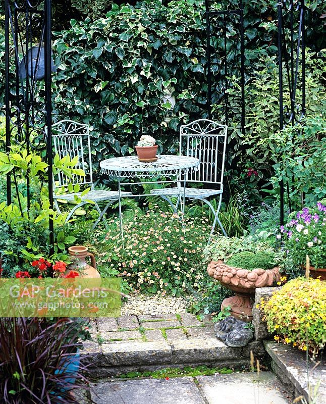 Pair of metal chairs with table surrounded by Erigeron and Hedera