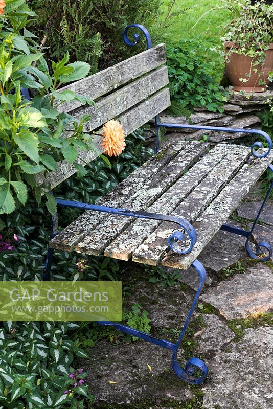 Lichen covered garden seat