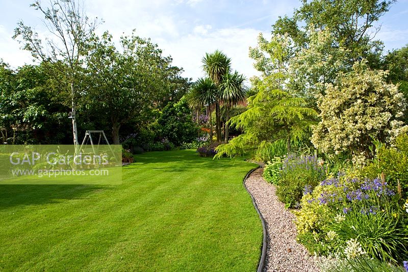 Large striped lawn with cordyline and curved gravel path