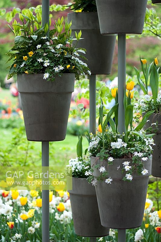 Large metal flowerpots with mixed spring planting - Keukenhof, Amsterdam