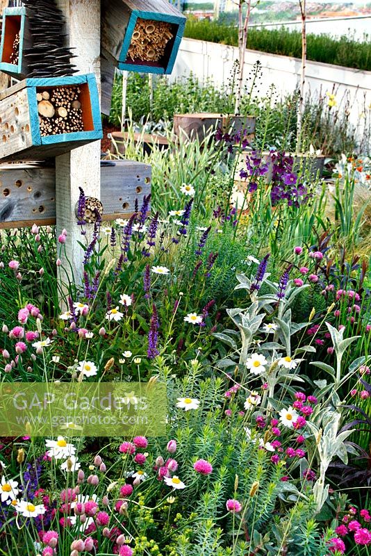 The Future Nature Garden, Sponsored by Yorkshire Water, University of Sheffield Alumni Fund, Green City Initiative, Buro Happold - RHS Chelsea Flower Show 2009 