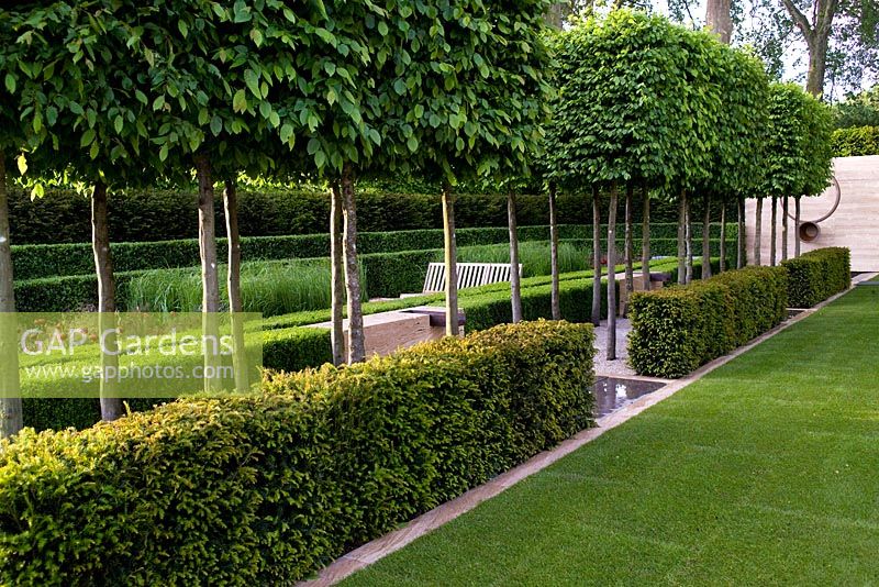  Carpinus betulus box heads, Taxus baccata hedge, marble paving & water features with steel sculpture by Nigel Hall, wooden bench seating, perennial beds including Deschampsia cespitosa, Paeonia 'Buckeye Belle' & Astrantia, layered hedging of Caprinus betulus, Taxus baccata & Buxus sempervirens. The Laurent-Perrier Garden, Sponsored by Champagne Laurent-Perrier - Gold medal winner at RHS Chelsea Flower Show 2009
