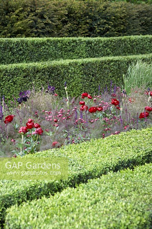 The Laurent-Perrier Garden, Sponsored by Champagne Laurent-Perrier - Gold medal winner at RHS Chelsea Flower Show 2009 
