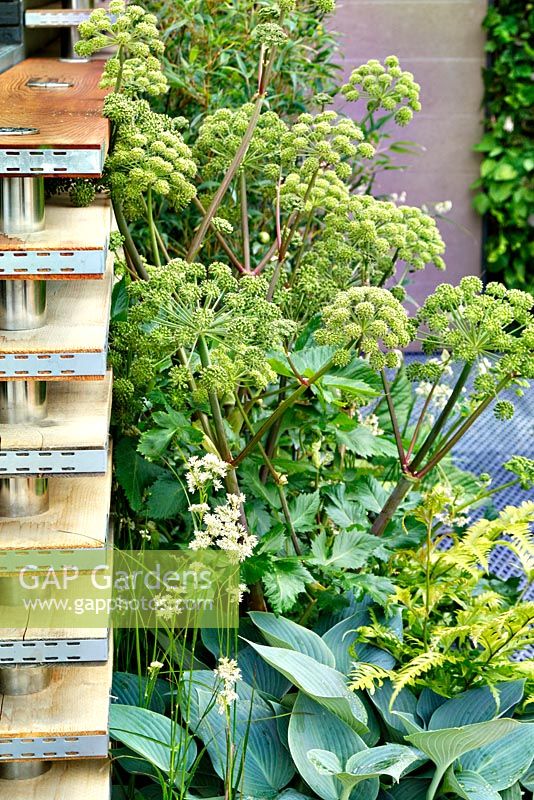 Eco Chic Garden, sponsored by Helios - Gold medal winner for Best Urban Garden at RHS Chelsea Flower Show 2009
