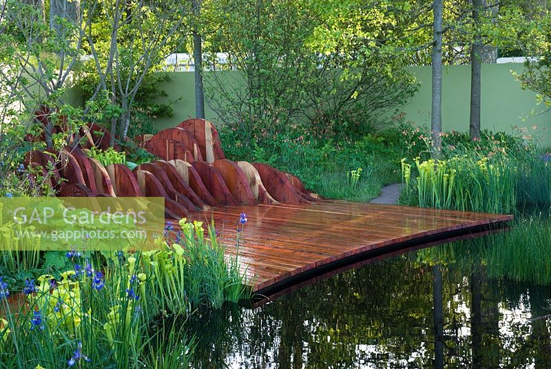 Waves of change sculpture made from Redwood, surrounded by Sarracenia flava and Iris sibirica 'Tropic Night', in front of a dark pool of water - The Foreign and Colonial Investments Garden, Sponsored by Foreign and Colonial Investment Trust, Contractor The Outdoor Room - Silver Flora medal winner at RHS Chelsea Flower Show 2009