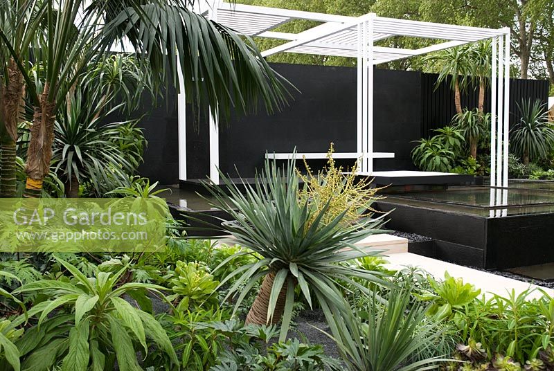 Pavilion with thermal spa surrounded by exotic style planting, including Dracaena draco - Dragon Tree and EchiumsCanary Islands Spa Garden, sponsored by The Canary Islands Tourist Board, contractor Hillier Landscapes - Silver Flora medal winner at RHS Chelsea Flower Show 2009
