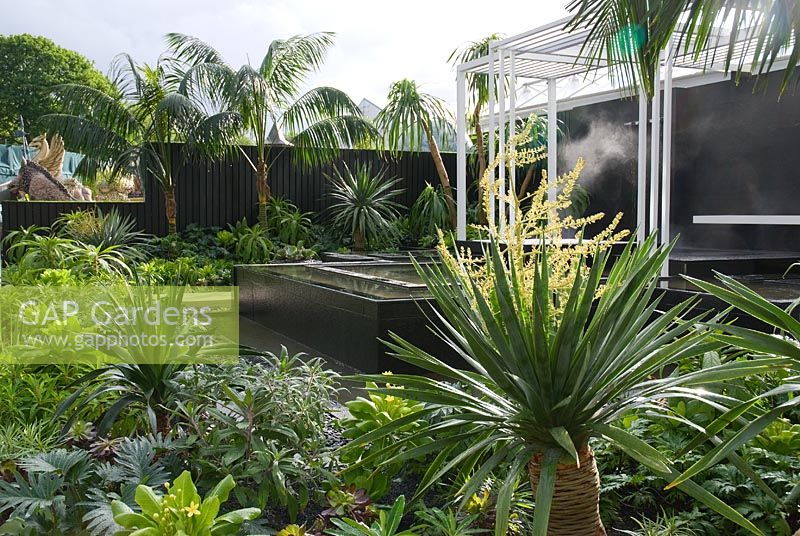 Exotic style planting with Dracaena draco -Dragon Tree surrounding a pavilion with termal spa Canary Islands Spa Garden, sponsored by The Canary Islands Tourist Board, contractor Hillier Landscapes - Silver Flora medal winner at RHS Chelsea Flower Show 2009
