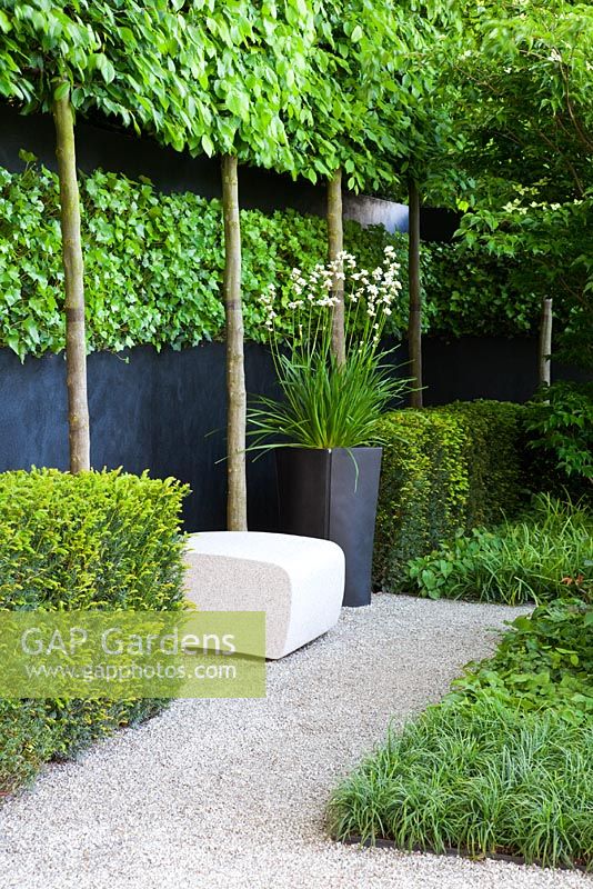 A seating area surrounded by planting including - espaliered Carpinus betulus, Hornbeam, Taxus baccata, Yew hedges, Libertia grandiflora, Ophiopogon japonicus and Epimedium x rubrum in The Daily Telegraph Garden, sponsored by The Daily Telegraph - Gold medal winner at RHS Chelsea Flower Show 2009