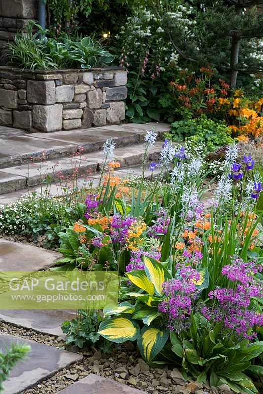 Iris siberica 'Persimmon', Primula beesiana, Camassia cusickii and Hostas - 
The Hesco Garden, sponsored by HESCO Bastion and Leeds City Council - Silver-Gilt medal winner at RHS Chelsea Flower Show 2009
