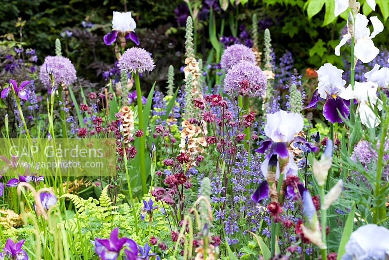 Dawn Chorus Garden, sponsored by Bradstone - Silver-Gilt Flora medal winner for Urban Garden at RHS Chelsea Flower Show 2009