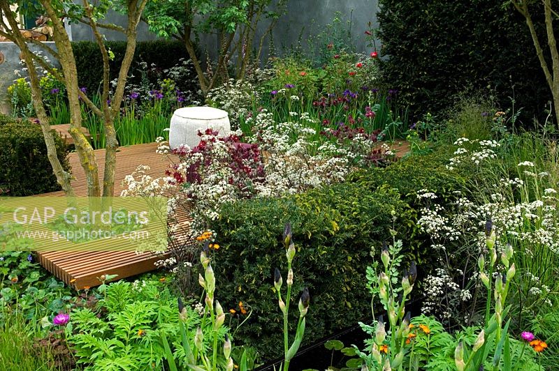 Naturalistic planting to attract a diverse range of insects surround a timber seating area and seat, planting includes Anthriscus sylvestris 'Ravenswing', Iris germanica, Aquilegia 'Ruby Port' and Cirsium rivulare - Nature Ascending Garden - Gold medal winner for Urban Garden at RHS Chelsea Flower Show 2009 