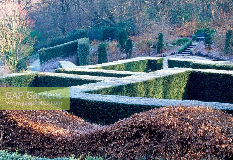 View over the Yew hedging from within the 'Grasses Parterre'. Beech 'wavy' hedge in foreground. Part of the 'wild garden' and view to wood beyond hedges - Veddw House Garden in February