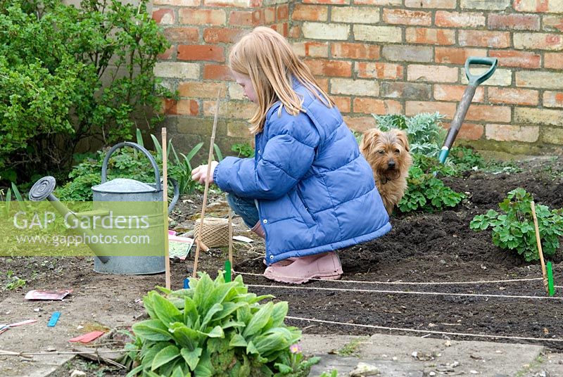 Child's Garden. An organic vegetable garden with rows of newly planted seeds including Lettuce, Carrots, Spinach, Parsley, Rocket and Beetroot.