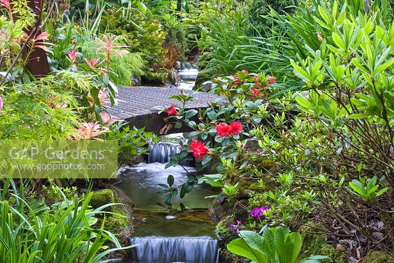 Waterfall surrounded by mature shrubs at Four Seasons NGS garden, Staffordshire