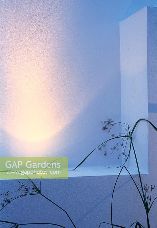 Night lighting introduces drama to this minimalist garden design