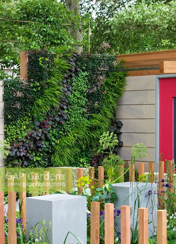 Details of cedar fence and living wall with Epimedium, Euphorbia, Heuchera, Tiarella, Hosta, Saxifrage, Adiantum and Dicentra in the Marshalls Living Street Garden, sponsored by Marshalls plc - Silver-Gilt Flora medal winner at RHS Chelsea Flower Show 2009