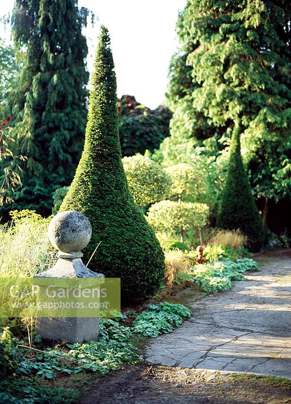 Buxus sempervirens topiary - Lower House, Cusop, Near Hay-On-Wye