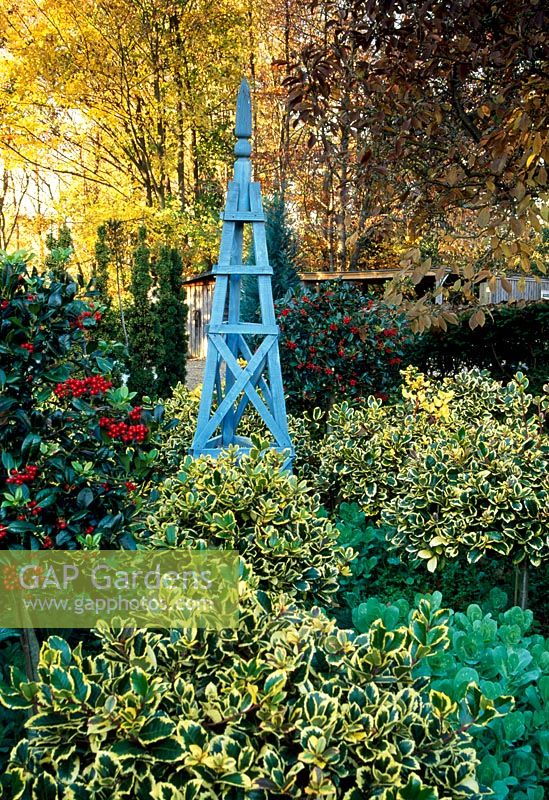 Painted obelisk and standard hollies by drive Ilex x altaclerencis 'Golden King' and Ilex aquifolium 'J.C Van Tol', underplanted with Cerinthe Major 'Purpurascens' - Highfield Hollies, Liss, Hampshire