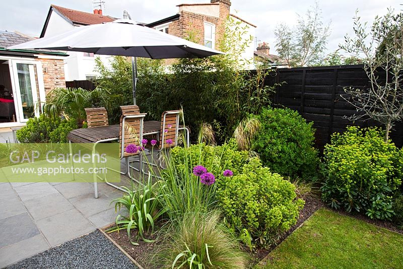 Patioa area with Euphorbia robbiae and Allium 'Purple Sensation' - Small urban garden in London 