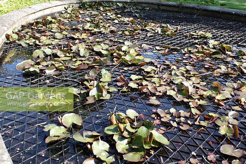 Underwater polythene grill used for pond safety