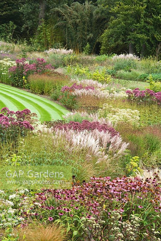 Grass and perennials borders round the Glasshouse at RHS Gardens, Wisley in September, designed by Tom Stuart-Smith. 