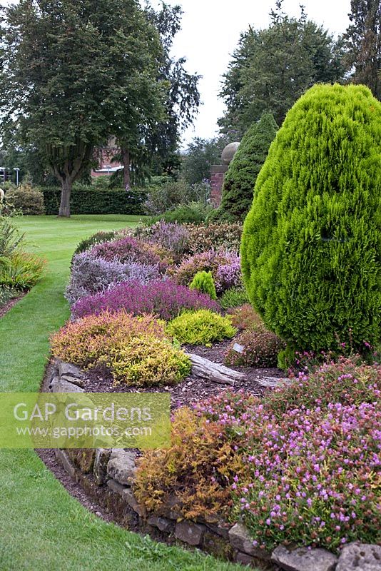 Raised conifer beds - Winterbourne Botanic Garden