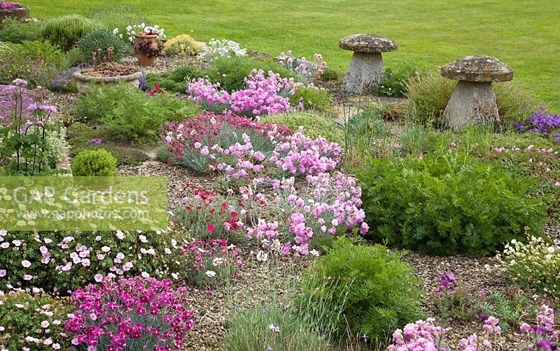 Alpine garden planted with many aromatic alpines planted in gravel containers of houseleeks old stone toadstools -  Woodpeckers, Warwickshire