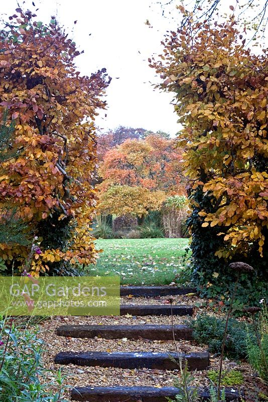 Autumn view - Winterbourne Botanic Garden 