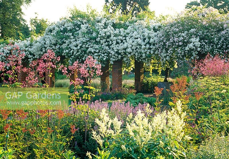 Perennial planting including Thalictrum rochebruneanum, Filipendula rubra and Persicaria polymorpha infront of the rose arbour