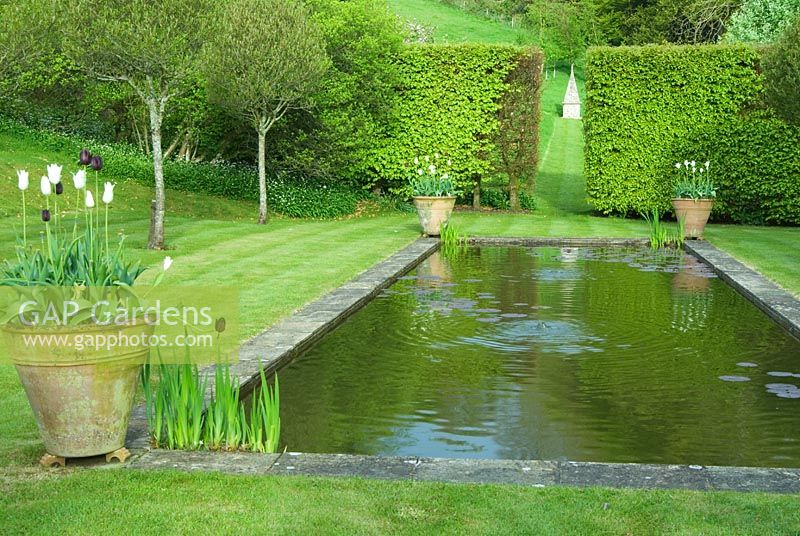 Rectangular reflecting pool with pots at each corner contained by beech hedging and lines of Crataegus x lavalleei clipped into lollipops, with view through to flint obelisk in meadow beyond. Private garden, Dorset, UK