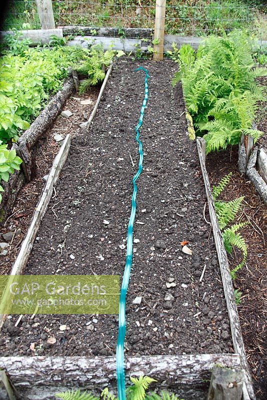 Garden watering system - Step 2 - Roll out the seep hose to determine length required