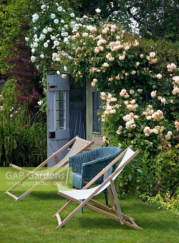 Country garden with deck chairs and basket chair outside summerhouse covered with scented climbing roses at Foxcote Hill NGS garden, Ilmington, Warwicks