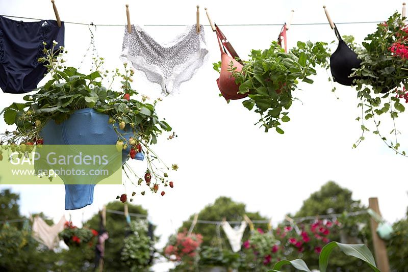Grow Your Own Bra-skets and Plant-pants - RHS Hampton Court Flower Show 2009
