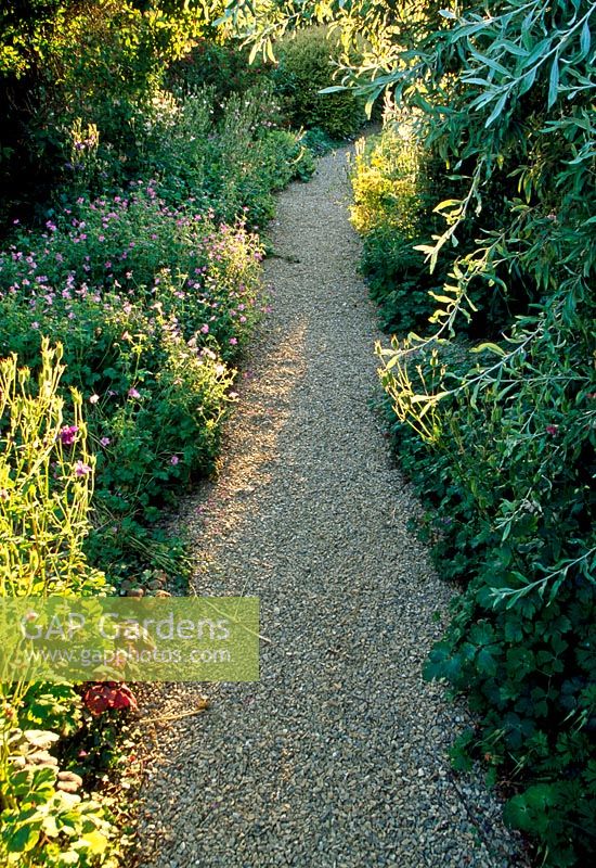 Path in the Shrubbery - Llanllyr Garden, Talsan, Ceredigion, Wales
