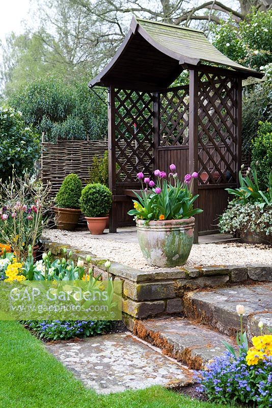 Tulips at Little Larford Cottage, Worcestershire - Terrace with timber arbour and tulips in pot
