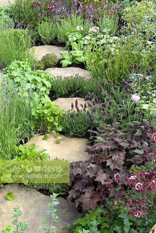 Stone slabs forming path through scented plants and herbs in country garden. 'The Maypole Garden' Silver-Gilt Flora award winning garden - Malvern Spring Show 2009