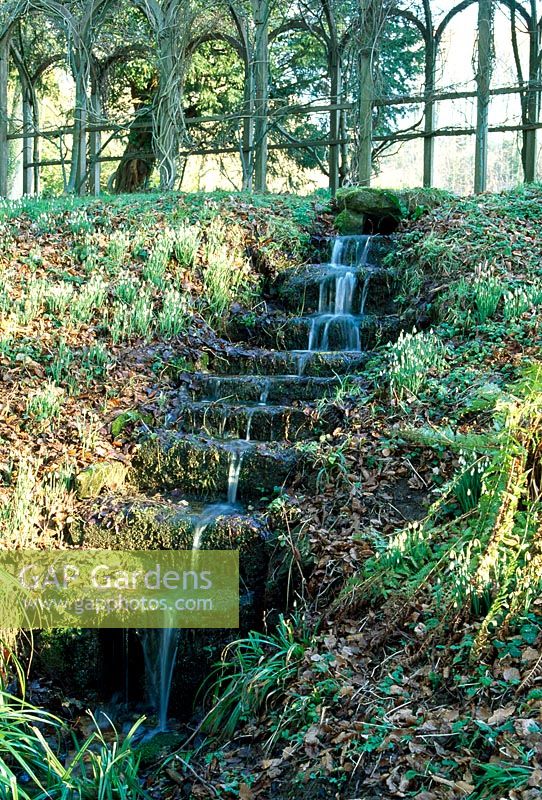The cascade stream from the Fish Pond to the Snowdrop Gove - Painswick Rococo Garden, Painswick, Gloucestershire in February