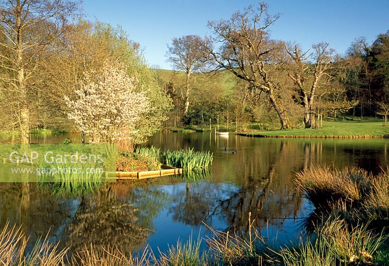 The lake at Bickham House, Near Exeter, Devon