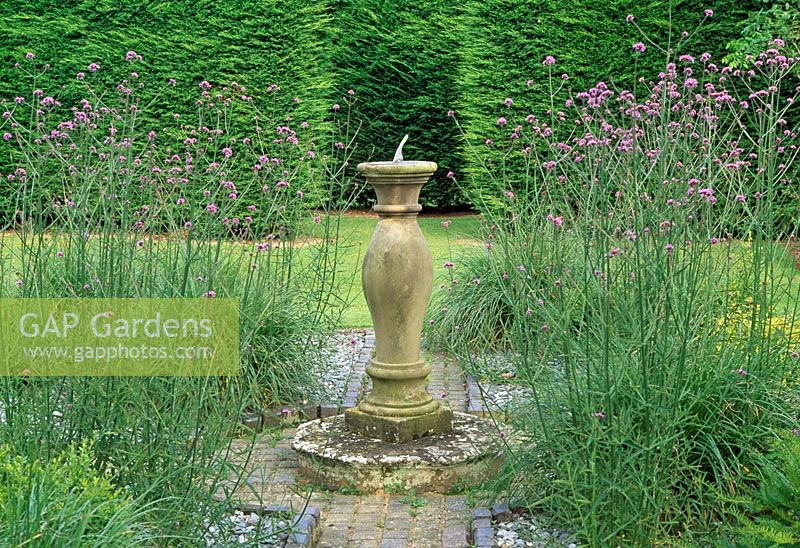 Sundial Garden and planting of Verbena bonariensis - Glansevern Hall, near Welshpool, Wales in July 
