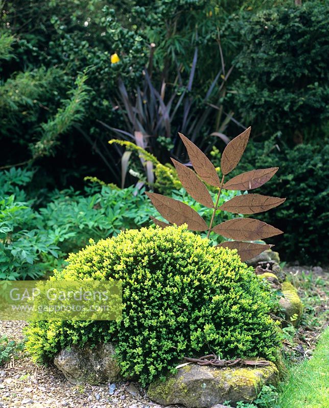 Rustic leaf sculpture by Peter M Clark behind Buxus dome - Charlotte Molesworth's garden, Kent