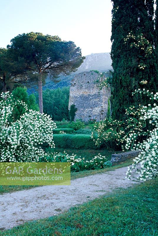 Gardens of Ninfa, near Rome, Italy