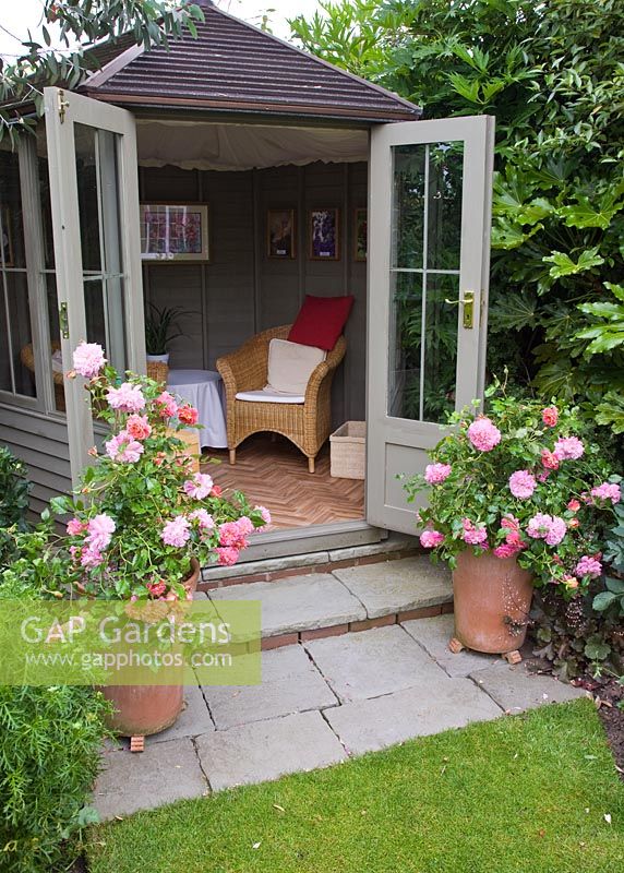 Summerhouse with Rosa 'Christopher Marlowe' in terracotta pots in secluded suburban garden - High Trees, NGS, Longton, Stoke-on-Trent, Staffordshire