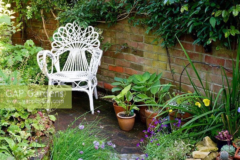 Cliff Hill - Top part of garden with chair rescued from skip. Plants include Allium schoenaprasum - Chives, Aubrietia, Heuchera, Meconopsis cambrica - Welsh poppy, Echeveria elegans 