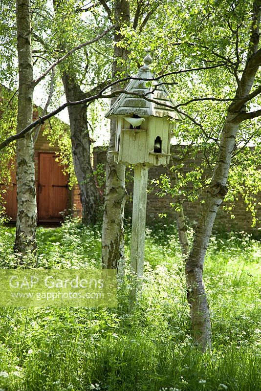 Dove cote beside Betula - Silver Birch tree. Amwell cottage garden, Hertfordshire UK May 2008