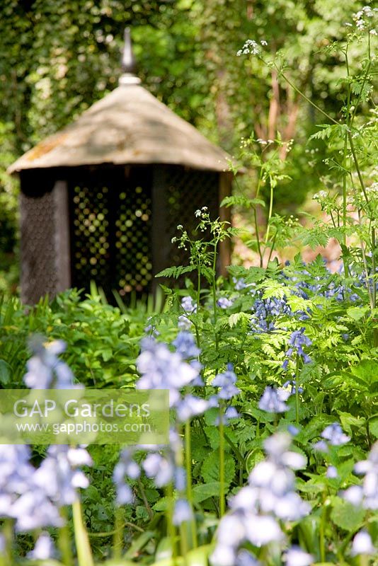 Bluebells in meadow at Amwell cottage garden, Hertfordshire UK May 2008